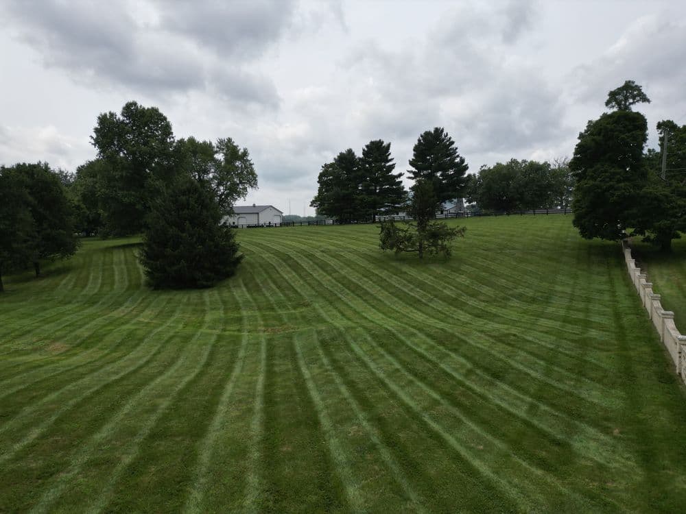 Lush green lawn with striped patterns and trees under a cloudy sky.