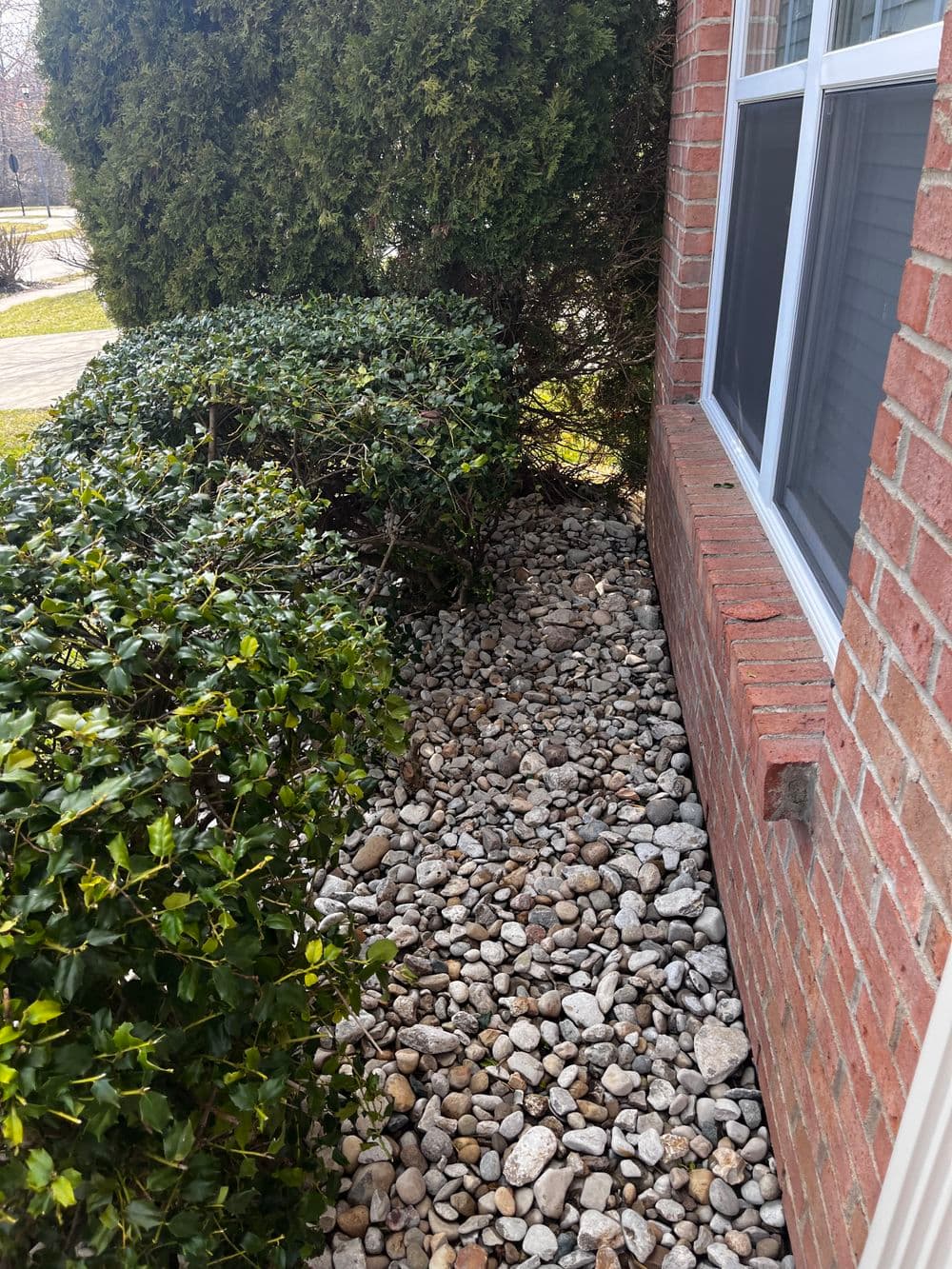 Rocky landscaping featuring shrubs beside a red brick wall and window.