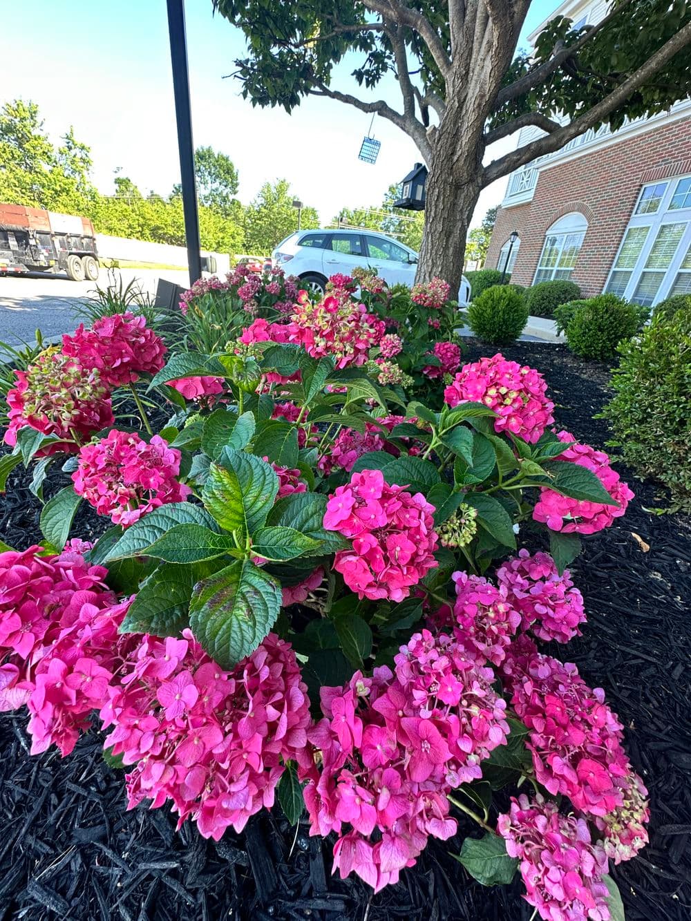 Stunning paver patio installation by Rouse Lawncare LLC.
