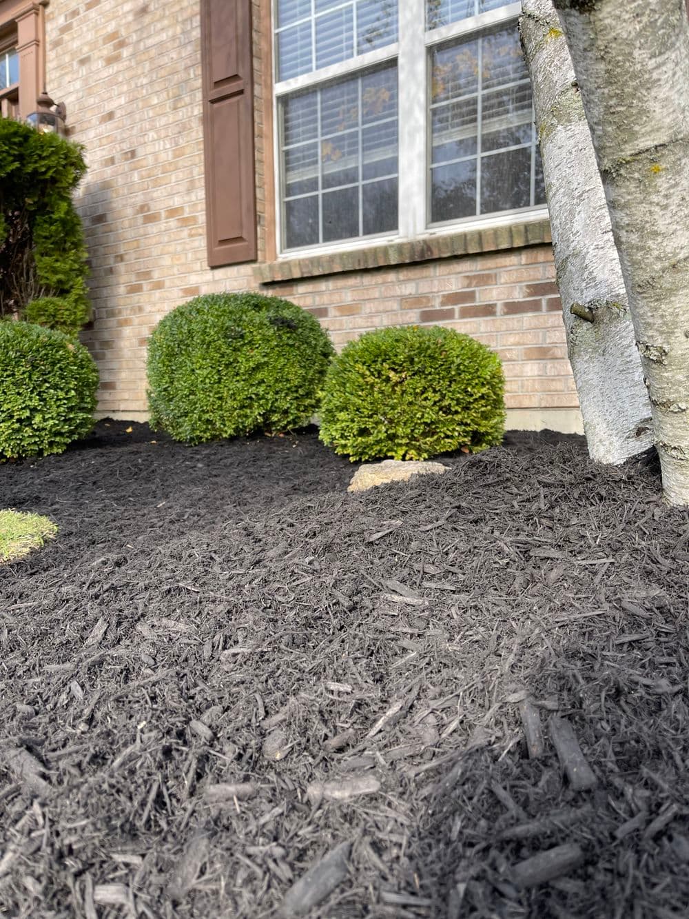 Beautifully maintained lawn with scenic view.