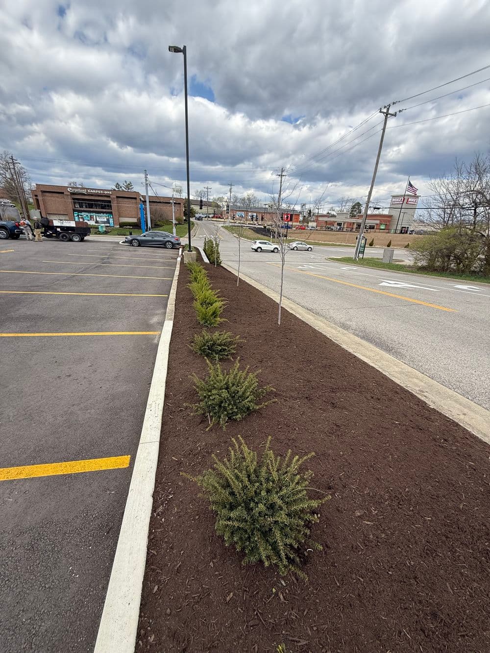 Landscape design featuring newly planted shrubs and mulch in a parking lot, with cloudy sky backdrop.