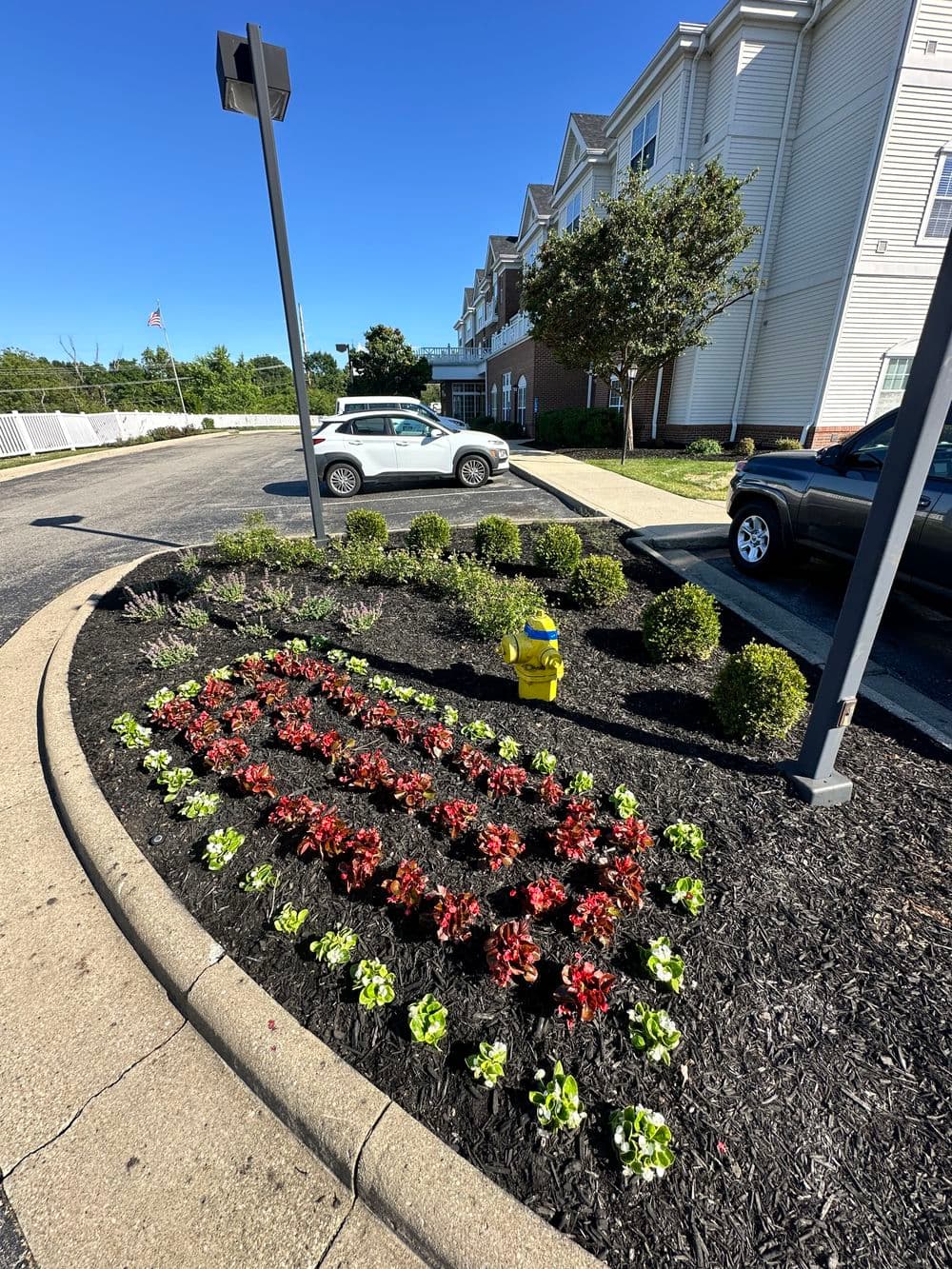 Colorful flower bed with red and green plants beside a yellow fire hydrant and parking area.