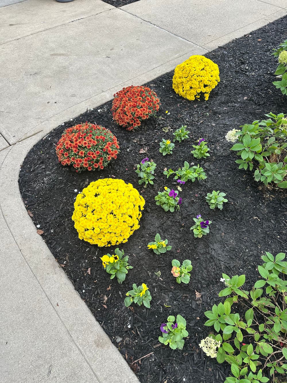 Rouse Lawncare: Our Story