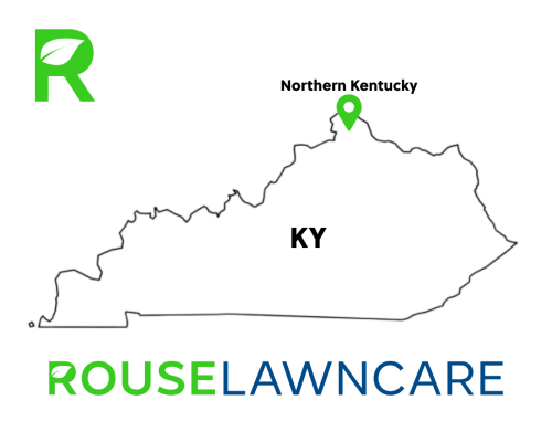 NO MORE URGENT CARE (18)